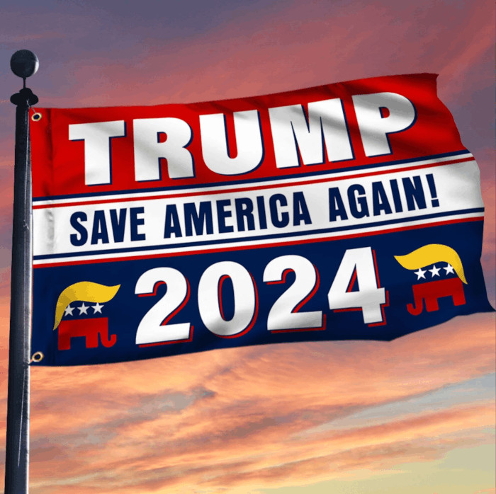 Free Trump Save America Again 2024 Flag
